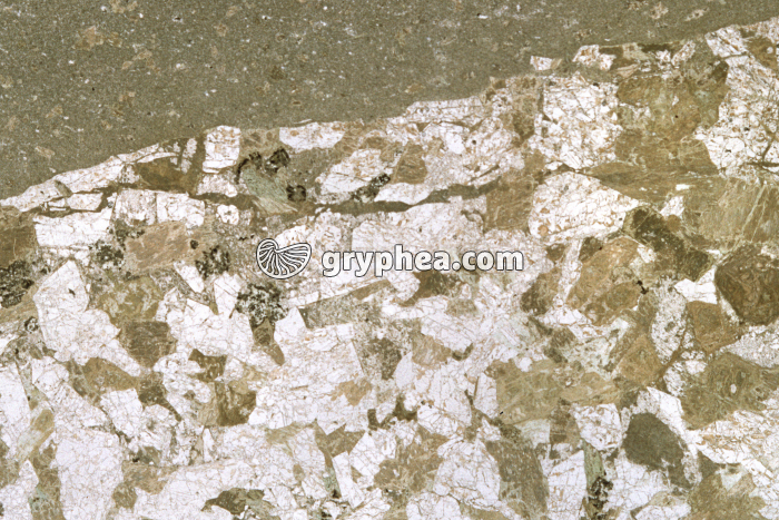 Microgabbro LPNA x3,5 - gryphea.com